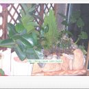 정화 뜨개방 이미지