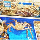 철이수산 - 구리시 딸기원로 98-13 | 철이수산