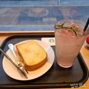 이디야울산성남점 | 도기 일상 맥도날드 스타벅스 신메뉴 먹방 후기