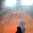 2021 태화강 빛 축제 이미지