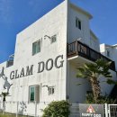 해피독 애견펜션2 이미지