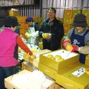 상주농협하나로마트 이미지