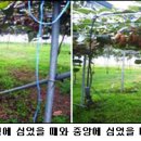 골드하우스 이미지