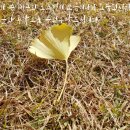 이야기 할머니 활동가 양성과정 이미지