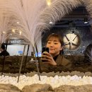 부농상회 이미지