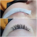 오아시스미용학원 네이버블로그