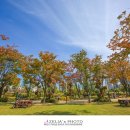 태화강국가정원 이미지