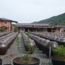 녹색농원 이미지