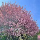 계룡로13길 이미지