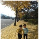 고운길