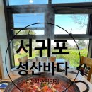 오늘도맑음식당 | [성산바다] 실패없는 성산일출봉맛집 갈치조림/구이 후기