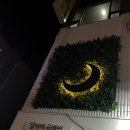 규배씨