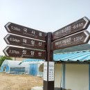 메아리다육농장 네이버블로그