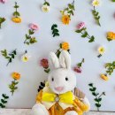 위드퍼피숑 이미지