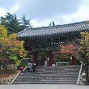 불국사 이미지