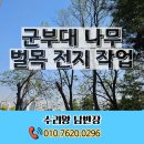 평택해군유치원 | 군부대 나무 벌목 전지 작업 가지치기 전문 업체