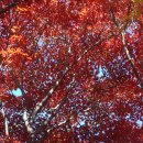 초락당한의원 이미지