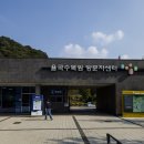 장단콩팥소빵카페 이미지