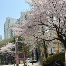 10문 평촌먹거리촌 앞 이미지