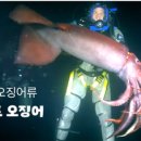 옌타이야간반점