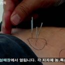 올림픽한방병원 이미지