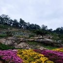 피나클랜드 이미지