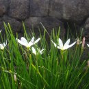 상예동-8 이미지