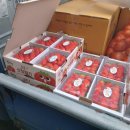 남부시장 입구 횡단보도 이미지