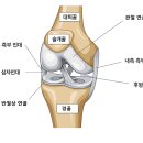청록한의원 네이버블로그