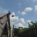 영월오아시스 글램핑 이미지