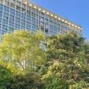 삼성역 사운드 테라피, 젠테라피 스와미 아룬 코스믹 공 배스 후기 | 명상, 싱잉볼