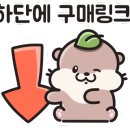 오토스킨 이미지