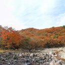 한라산둘레길 천아숲길 이미지