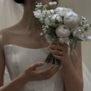 코드스케치 | W.02 본식아이폰스냅 스냅스케치 당일계약후기/혜택 (짝꿍코드O)/부천 라비에벨 오페라홀