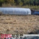 횡성 농가주택 26평과 전 813평 귀농 생각하시는 분들께 추천입니다! 이미지