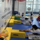 용인대비호태권도장 이미지