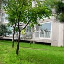 미리벌로 이미지