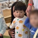버드앤쥬
