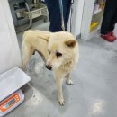 독산로23길 이미지