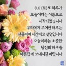 ~바나나 놀라운 효능~ 이미지