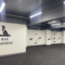 솔펫 애견미용놀이터 이미지