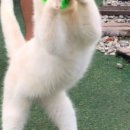 영흥36가족호텔 이미지