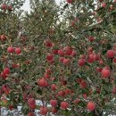 목수와 시인 이미지