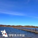 호수로가는집 | 속초 영랑호 산책 영랑호수윗길 주차 포토존 가는법