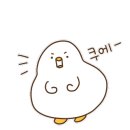 비니속눈썹