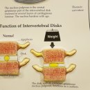 미엘인애한의원 이미지