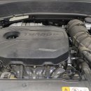 모든카프라자 이미지