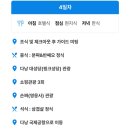 하나투어 패키지 다낭 미카즈키 4일차/ 조식 루프탑 수영장 손짜(영응사) 분짜 반쎄오 정식 미케비치...