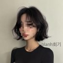 [동대문구 회기역 미용실] 인생 단발태슬펌! 플랜에이치 회기점 머리잘하는곳 추천 경희대 미용실