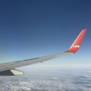 소원의원 | 대구마리아의원 배란유도제 임신 테스트기 희미한 두줄 확인